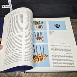 หนังสือ สารานุกรมไทยสำหรับเยาวชน โดยพระราชประสงค์ในพระบาทสมเด็จพระเจ้าอยู่หัว เล่ม 8 รูปที่ 7