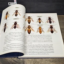หนังสือ สารานุกรมไทยสำหรับเยาวชน โดยพระราชประสงค์ในพระบาทสมเด็จพระเจ้าอยู่หัว เล่ม 15 รูปที่ 7