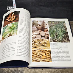 หนังสือ สารานุกรมไทยสำหรับเยาวชน โดยพระราชประสงค์ในพระบาทสมเด็จพระเจ้าอยู่หัว เล่ม 5 รูปที่ 7