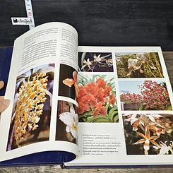 หนังสือ สารานุกรมไทยสำหรับเยาวชน โดยพระราชประสงค์ในพระบาทสมเด็จพระเจ้าอยู่หัว เล่ม 7 รูปที่ 7