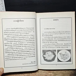 หนังสือ ชุดคู่มือประจำครัว อาหารว่างและเครื่องดื่ม รูปที่ 7
