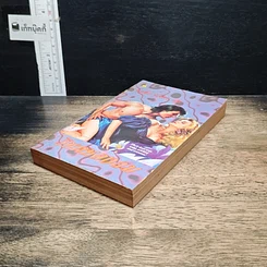 หนังสือ นิยายโรมานซ์ วิหคหลงลม รูปที่ 4