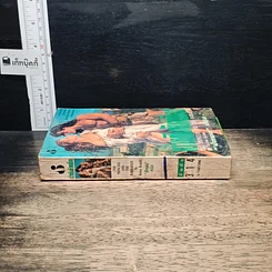 หนังสือ นิยายโรมานซ์ เจ้าหญิงกับคนเถื่อน รูปที่ 3