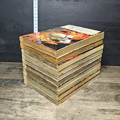 หนังสือ จอมโหดกระทะเหล็ก ภาค R 10 เล่มจบ รูปที่ 4