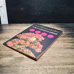 หนังสือ ภาษาญี่ปุ่นฉบับไปเที่ยว รูปที่ 4