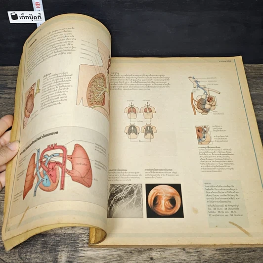 หนังสือ คู่มือสุขภาพประจำบ้าน เพื่อวินิจฉัยโรคภัยด้วยตนเองก่อนพบแพทย์ รูปที่ 7