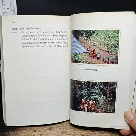 หนังสือ บัวสีน้ำเงิน รูปที่ 10