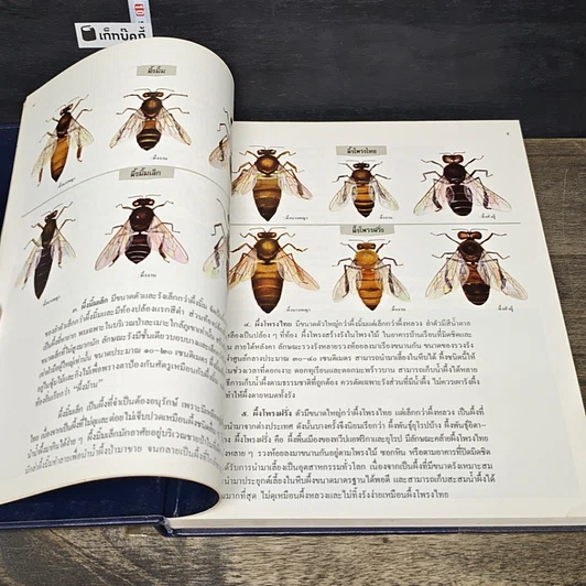 หนังสือ สารานุกรมไทยสำหรับเยาวชน โดยพระราชประสงค์ในพระบาทสมเด็จพระเจ้าอยู่หัว เล่ม 15 รูปที่ 7