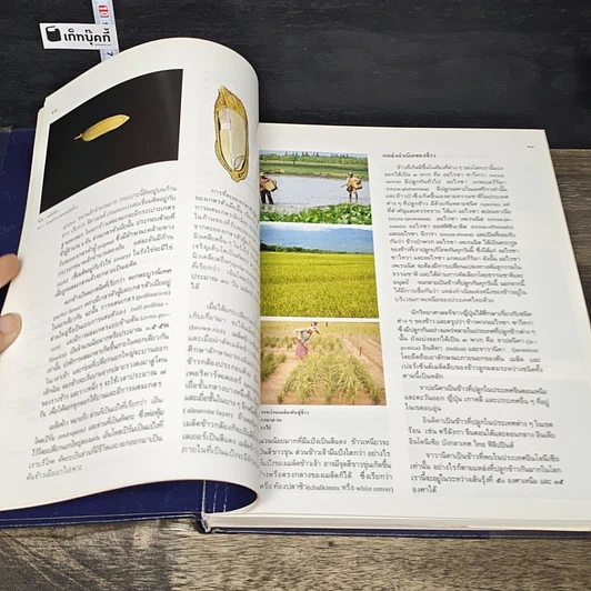 หนังสือ สารานุกรมไทยสำหรับเยาวชน โดยพระราชประสงค์ในพระบาทสมเด็จพระเจ้าอยู่หัว เล่ม 3 รูปที่ 7