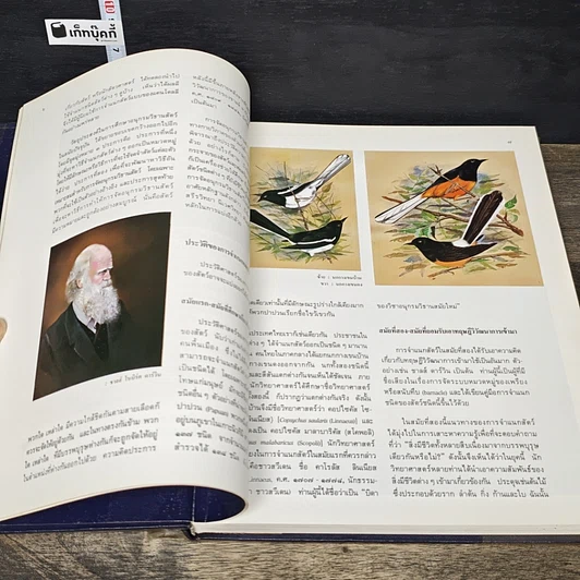 หนังสือ สารานุกรมไทยสำหรับเยาวชน โดยพระราชประสงค์ในพระบาทสมเด็จพระเจ้าอยู่หัว เล่ม 2 รูปที่ 7