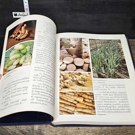 หนังสือ สารานุกรมไทยสำหรับเยาวชน โดยพระราชประสงค์ในพระบาทสมเด็จพระเจ้าอยู่หัว เล่ม 5 รูปที่ 7