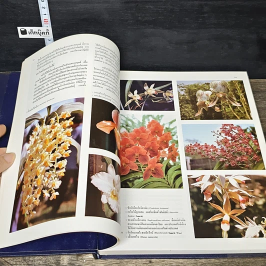 หนังสือ สารานุกรมไทยสำหรับเยาวชน โดยพระราชประสงค์ในพระบาทสมเด็จพระเจ้าอยู่หัว เล่ม 7 รูปที่ 7