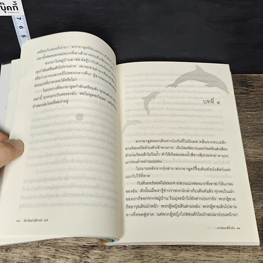 หนังสือ เกาะโลมาสีน้ำเงิน Island of the Blue Dolphins รูปที่ 8