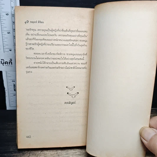หนังสือ นิยายโรมานซ์ วิหคหลงลม รูปที่ 8