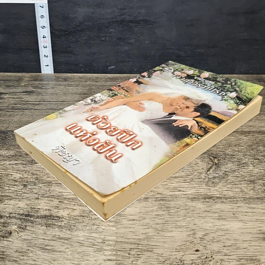หนังสือ นิยายโรมานซ์ ด้วยปีกแห่งฝัน รูปที่ 3