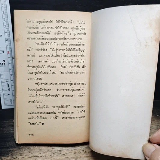 หนังสือ นิยายโรมานซ์ ผู้ดีเถื่อน รูปที่ 8