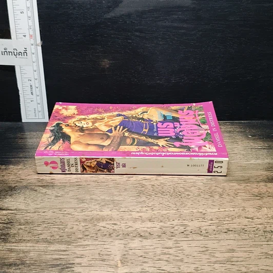 หนังสือ นิยายโรมานซ์ พธูในดงมาร รูปที่ 3