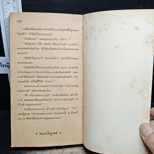 หนังสือ นิยายโรมานซ์ พธูในดงมาร รูปที่ 8