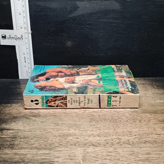 หนังสือ นิยายโรมานซ์ เจ้าหญิงกับคนเถื่อน รูปที่ 3