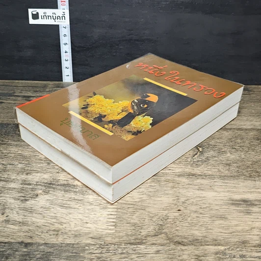 หนังสือ หนึ่งในทรวง 2 เล่มจบ รูปที่ 4