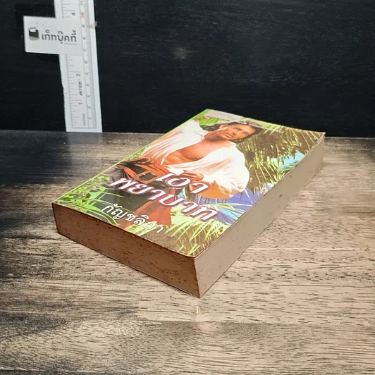 หนังสือ นิยายโรมานซ์ เงาพยาบาท รูปที่ 4