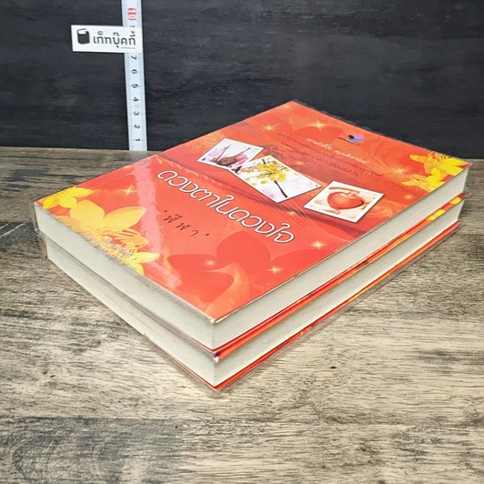 หนังสือ ดวงตาในดวงใจ 2 เล่มจบ รูปที่ 4