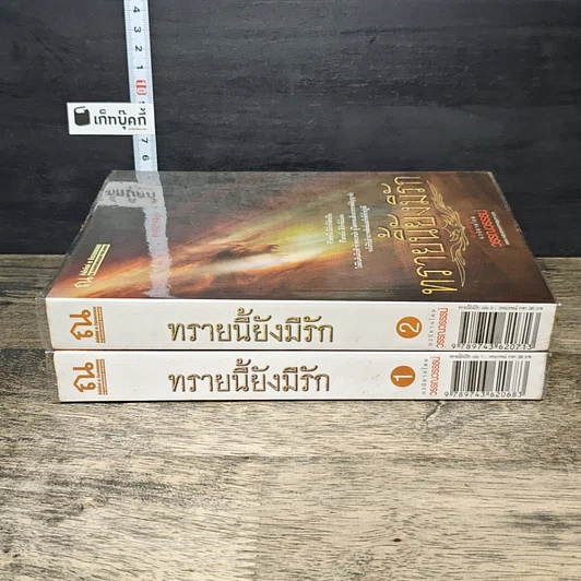 หนังสือ ทรายนี้ยังมีรัก 2 เล่มจบ รูปที่ 3