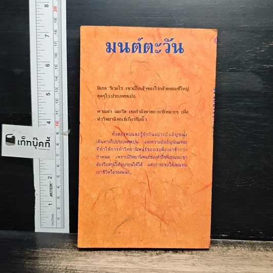 หนังสือ นิยายโรมานซ์ มนต์ตะวัน รูปที่ 2