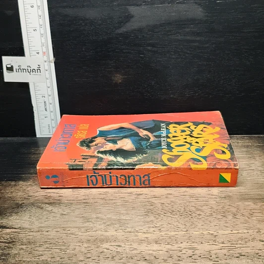 หนังสือ นิยายโรมานซ์ เจ้าบ่าวทาส รูปที่ 3