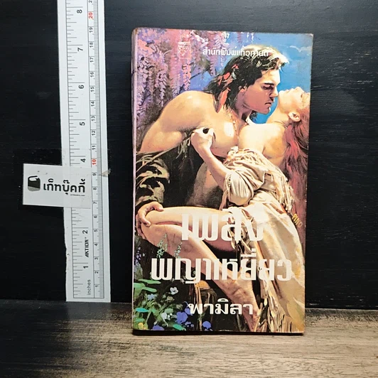 หนังสือ นิยายโรมานซ์ เพลิงพญาเหยี่ยว รูปที่ 1