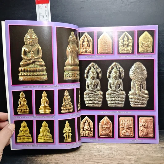 หนังสือ หมอนาค เพชรแสงแก้ว รูปที่ 6