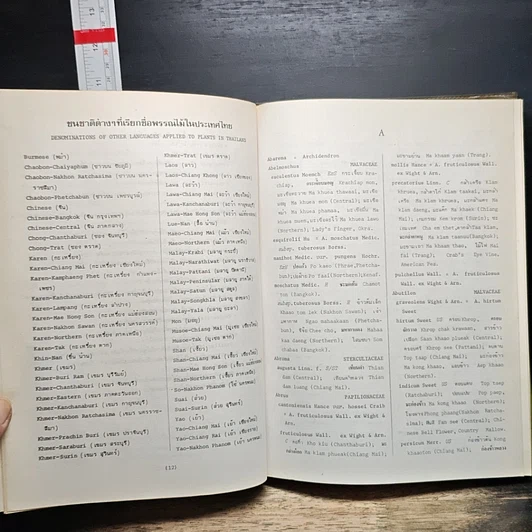 หนังสือ ชื่อพรรณไม้แห่งประเทศไทย (ชื่อพฤกษศาสตร์-ชื่อพื้นเมือง) รูปที่ 10