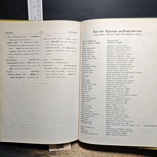 หนังสือ ชื่อพรรณไม้แห่งประเทศไทย (ชื่อพฤกษศาสตร์-ชื่อพื้นเมือง) รูปที่ 11