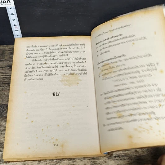 หนังสือ เพลิงมนตรา รูปที่ 8