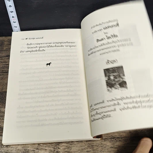หนังสือ ลิขิตรัก รูปที่ 8