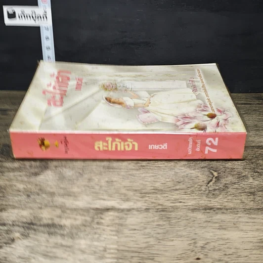 หนังสือ สะใภ้เจ้า รูปที่ 2
