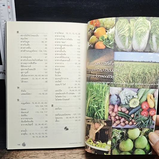 หนังสือ อยู่ดีมีสุข รูปที่ 9