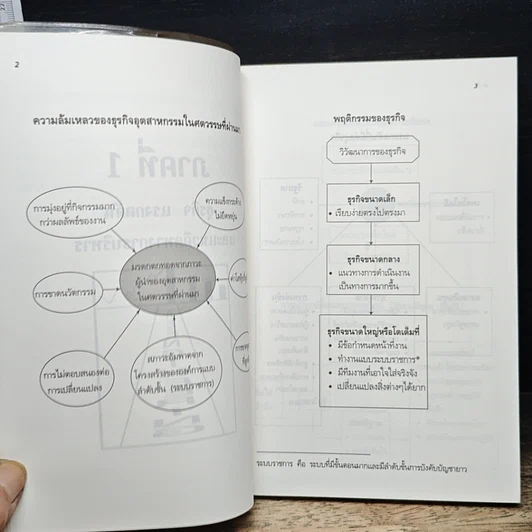หนังสือ รีเอ็นจิเนียริ่งแมเนจเมนท์ รูปที่ 9