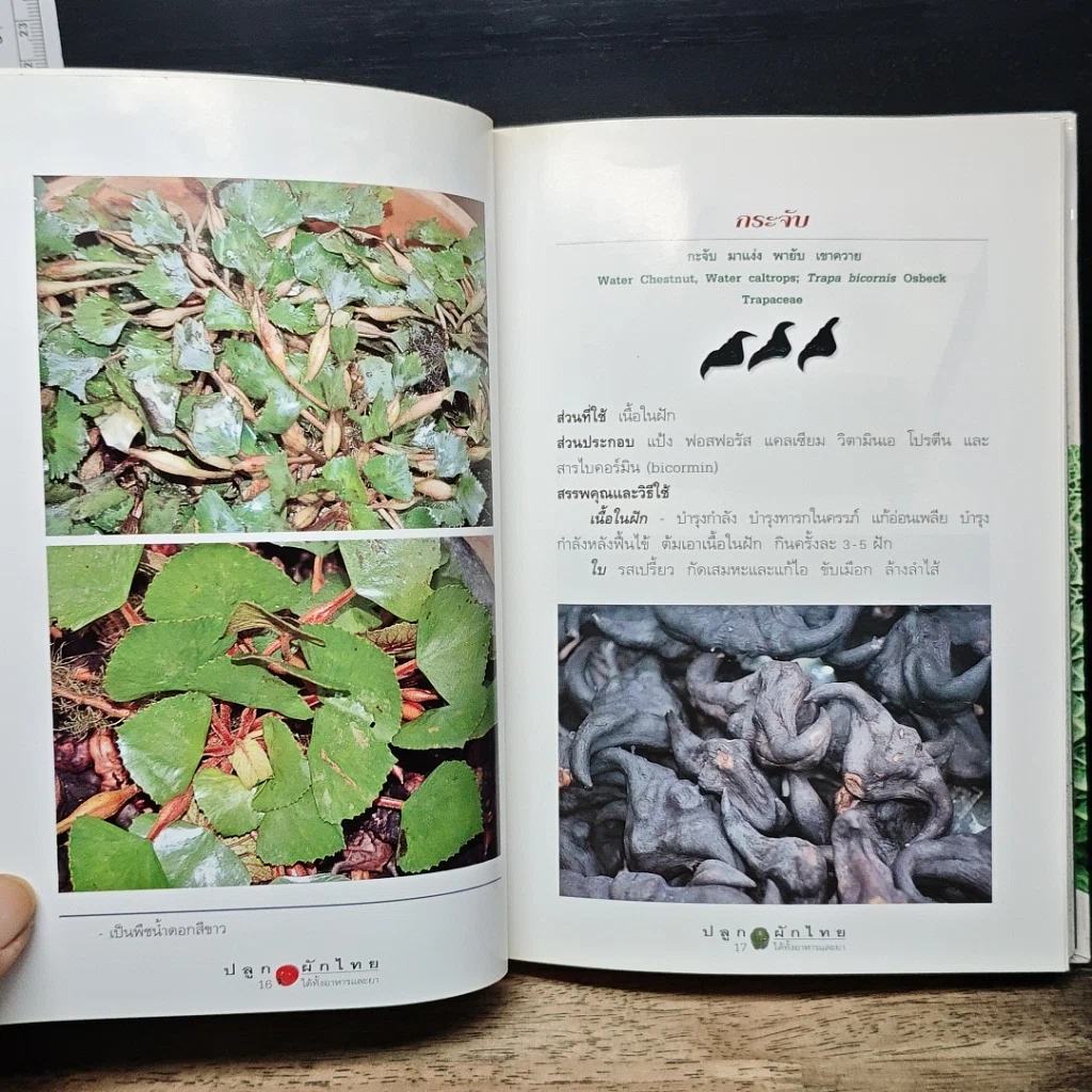 หนังสือ คู่มือคนปลูกต้นไม้ ปลูกผักไทย ได้ทั้งอาหารและยา รูปที่ 8
