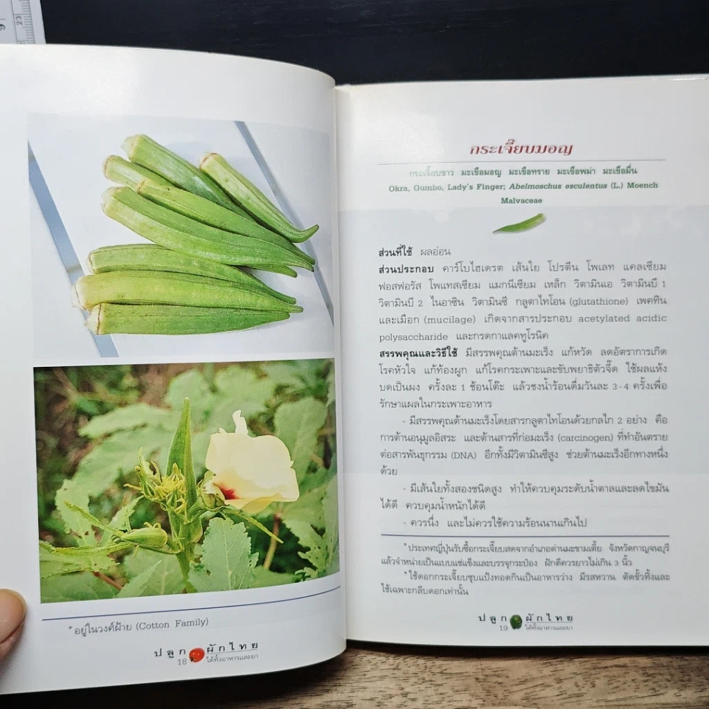 หนังสือ คู่มือคนปลูกต้นไม้ ปลูกผักไทย ได้ทั้งอาหารและยา รูปที่ 9