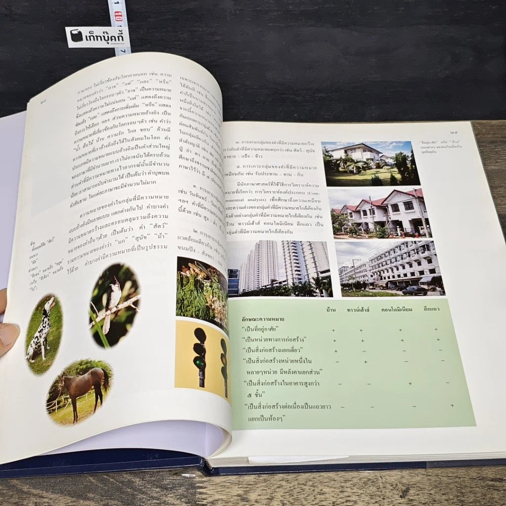 หนังสือ สารานุกรมไทยสำหรับเยาวชน โดยพระราชประสงค์ในพระบาทสมเด็จพระเจ้าอยู่หัว เล่ม 22 รูปที่ 7