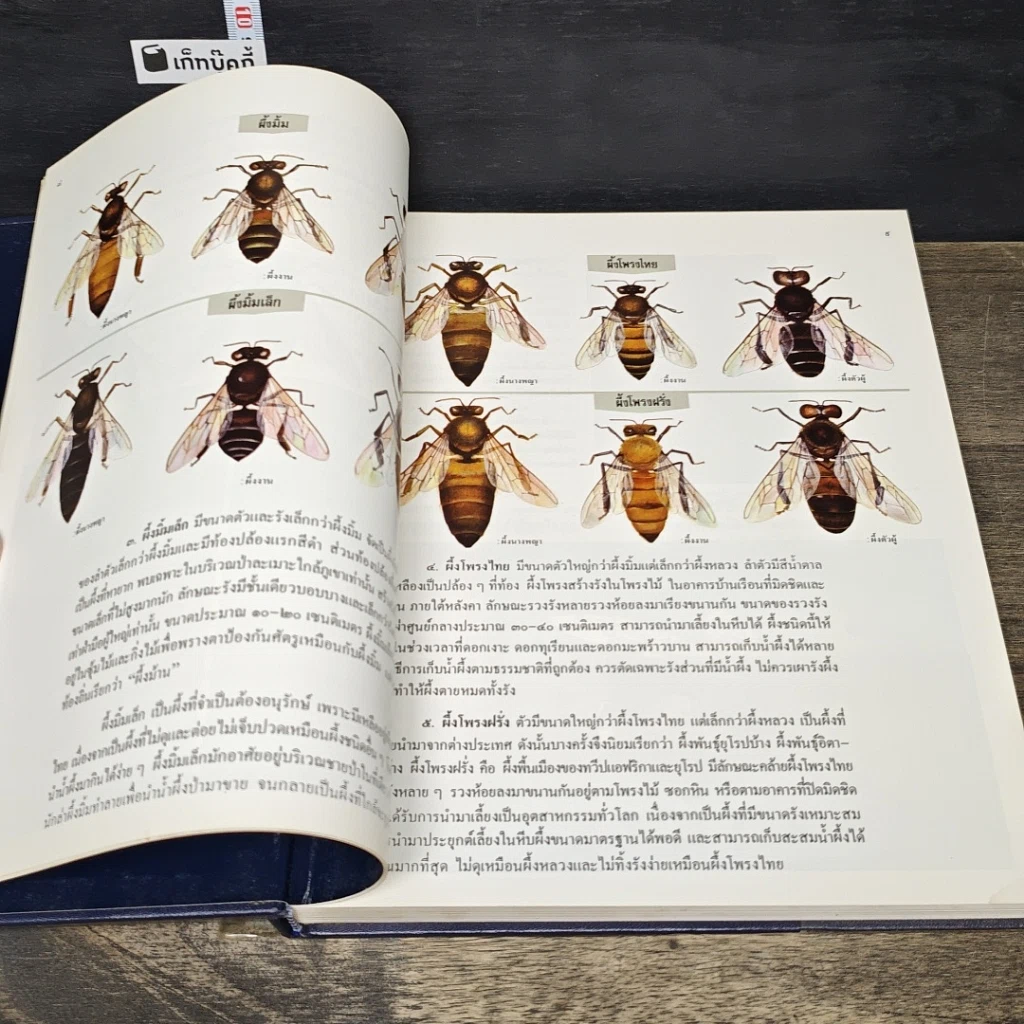 หนังสือ สารานุกรมไทยสำหรับเยาวชน โดยพระราชประสงค์ในพระบาทสมเด็จพระเจ้าอยู่หัว เล่ม 15 รูปที่ 7