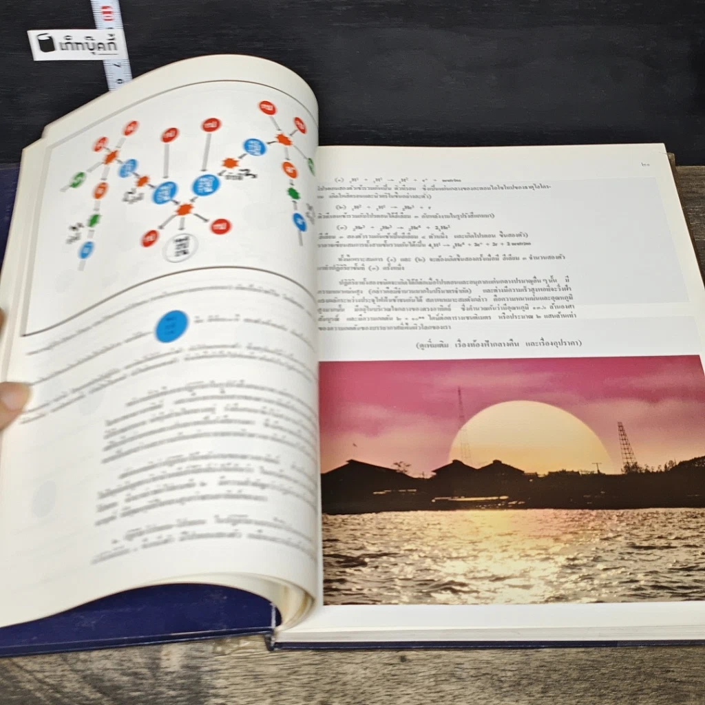 หนังสือ สารานุกรมไทยสำหรับเยาวชน โดยพระราชประสงค์ในพระบาทสมเด็จพระเจ้าอยู่หัว เล่ม 1 รูปที่ 7