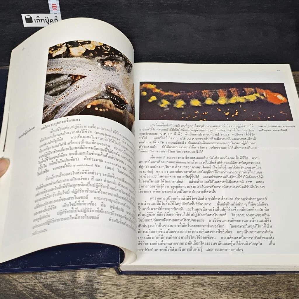 หนังสือ สารานุกรมไทยสำหรับเยาวชน โดยพระราชประสงค์ในพระบาทสมเด็จพระเจ้าอยู่หัว เล่ม 4 รูปที่ 7