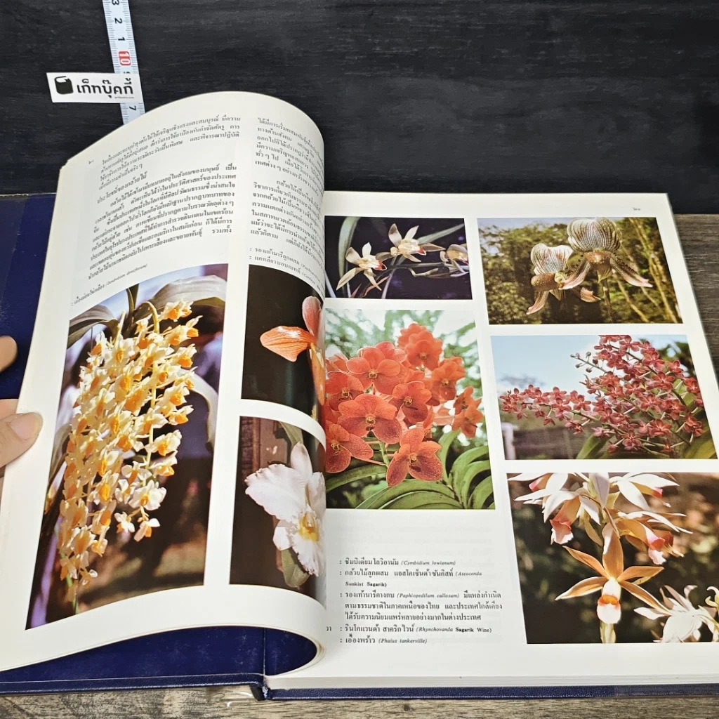 หนังสือ สารานุกรมไทยสำหรับเยาวชน โดยพระราชประสงค์ในพระบาทสมเด็จพระเจ้าอยู่หัว เล่ม 7 รูปที่ 7