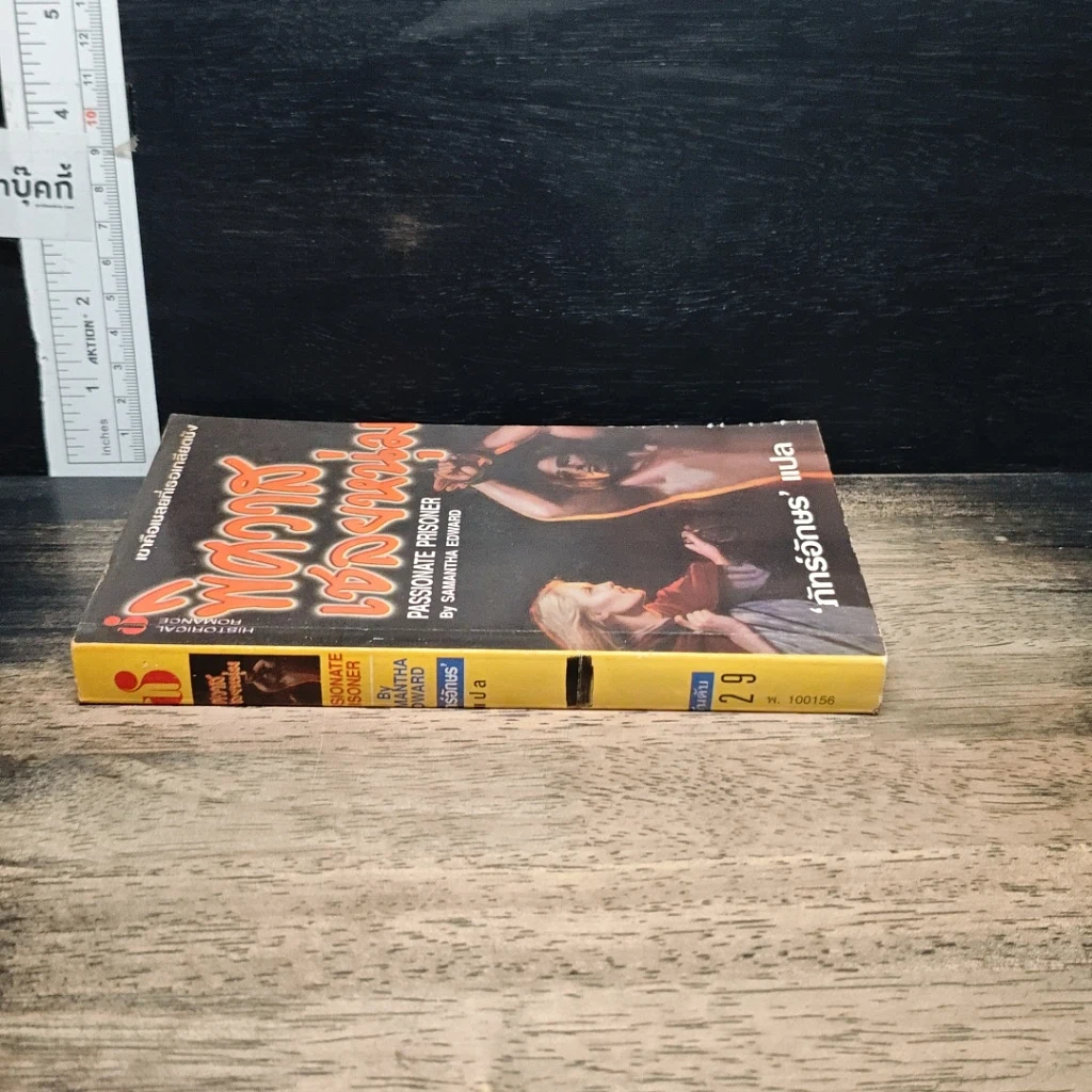 หนังสือ นิยายโรมานซ์ พิศวาสเชลยหนุ่ม รูปที่ 3