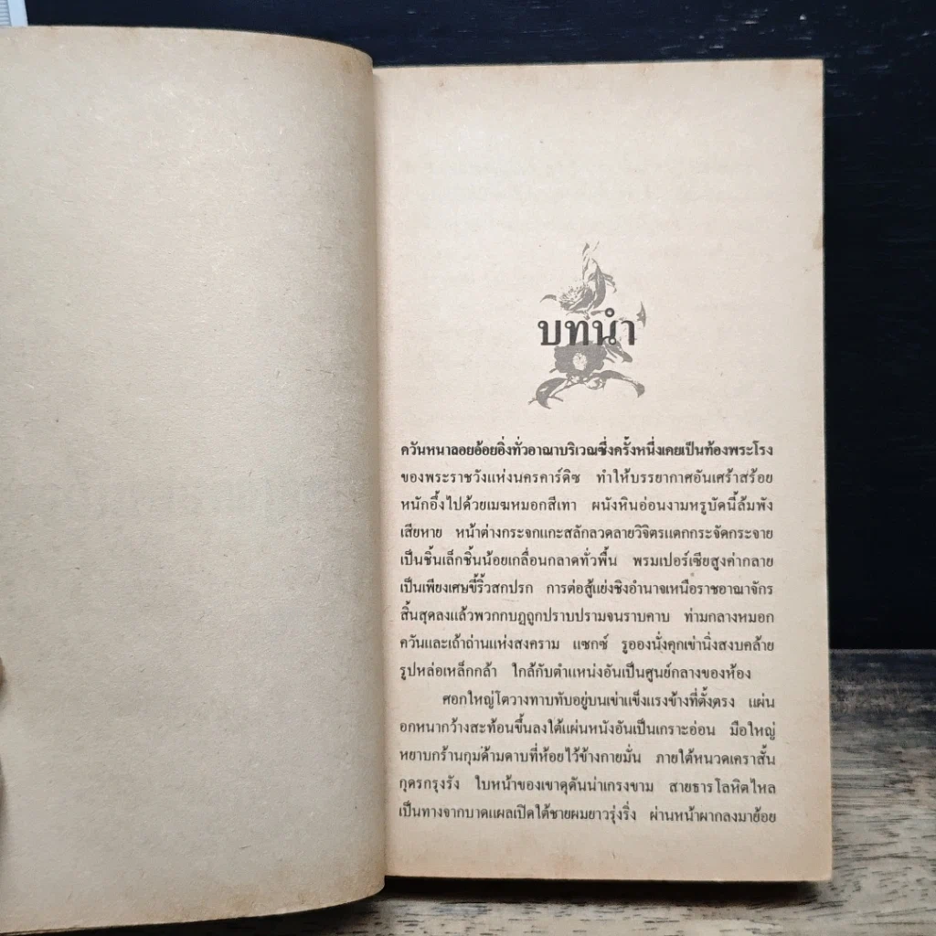 หนังสือ นิยายโรมานซ์ เจ้าหญิงกับคนเถื่อน รูปที่ 7