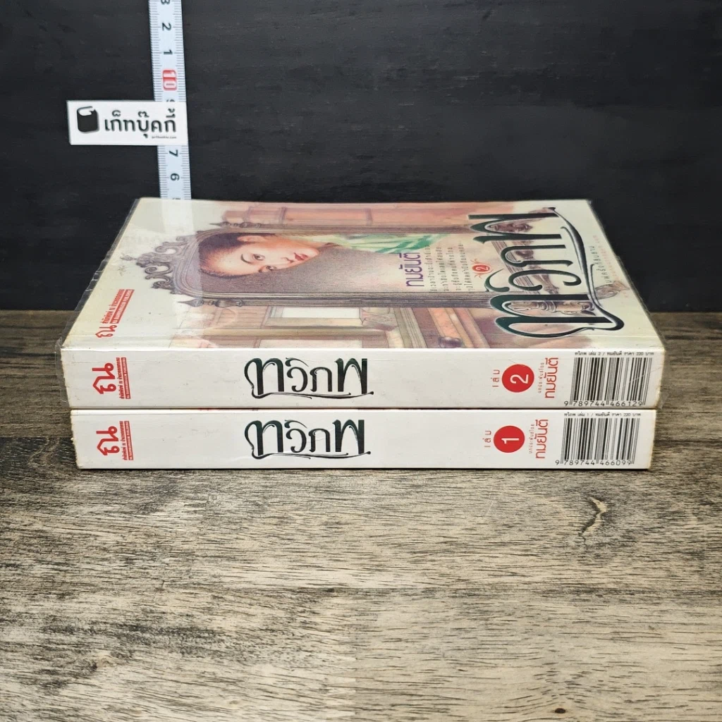 หนังสือ ทวิภพ 2 เล่มจบ รูปที่ 3