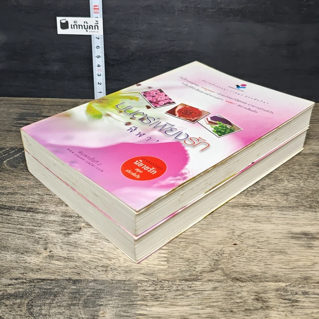 หนังสือ มนตร์เพียงรัก 2 เล่มจบ รูปที่ 4