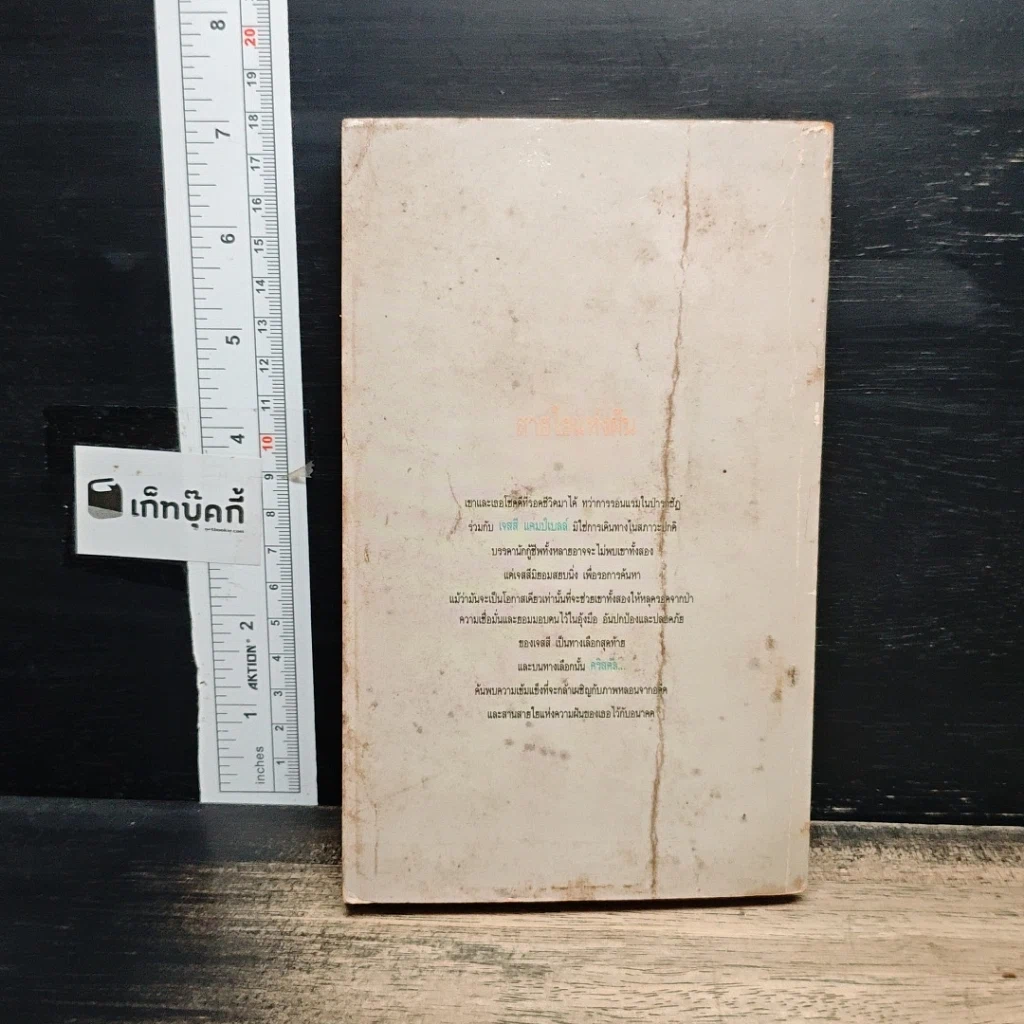 หนังสือ นิยายโรมานซ์ สายใยแห่งฝัน รูปที่ 2